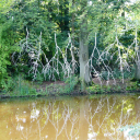 back to earth (2017) Amsterdamse bos